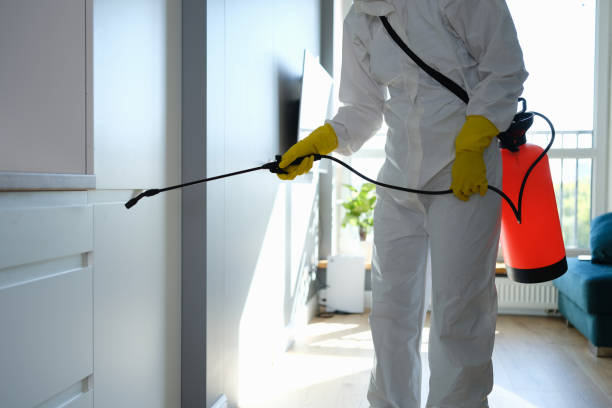 Best Local Mold Removal Service  in Ligonier, IN